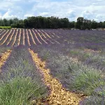 Le Petit Chene 3* Orgnac-lʼAven