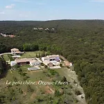 Le Petit Chene