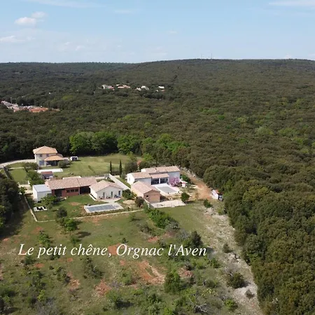 Le Petit Chene