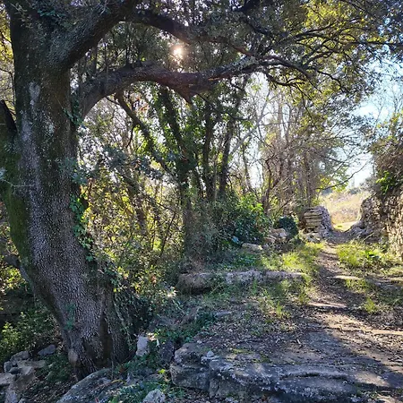 Le Petit Chene Πανσιόν *